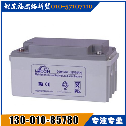 LEOCH理士蓄電池東北區(qū)總代理DJW12-24廠家參數(shù)報價