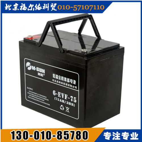 美陽蓄電池西北區(qū)總代理GFM-100廠家參數(shù)報價