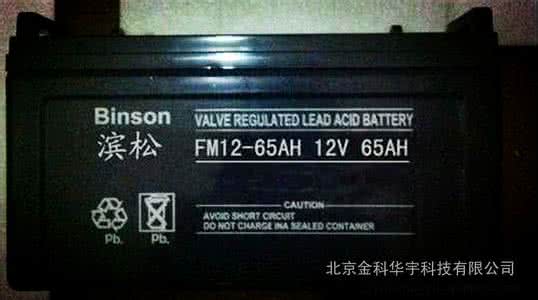 報(bào)價(jià)參數(shù)濱松Binson蓄電池FM150-12/12V150AH