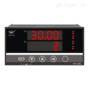 WP-D808-81-08-HL智能多路巡檢儀