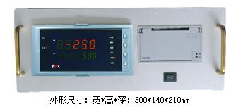 NHR-5930A-14/14/14-0/X/2/P-A流量控制儀