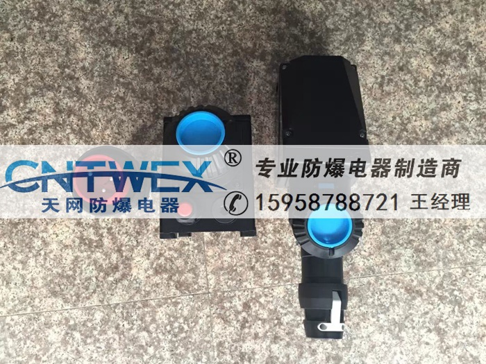 BCZ8050-125A防爆防腐插接裝置AC220/380VWF2