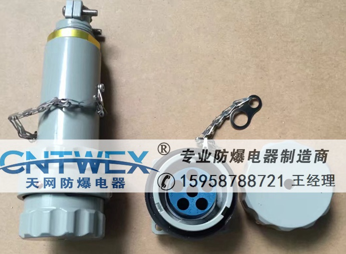 固定式GTZ-100A/5芯防爆無(wú)火花插頭插座連接器 福建廈門