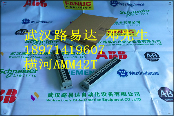 IC697MDL650美國Ge