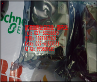 施耐德庫(kù)存FT21ADC1639G