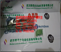 1C31166G01保羅轉(zhuǎn)火箭