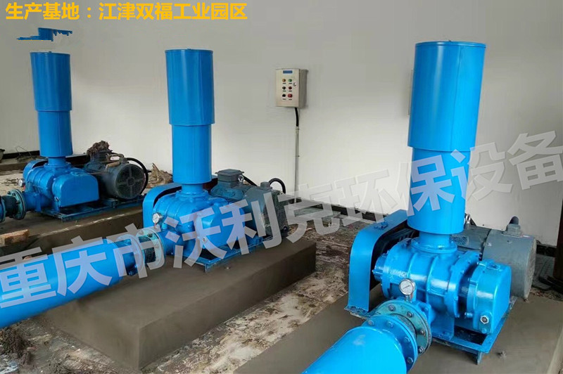 羅茨鼓風(fēng)機