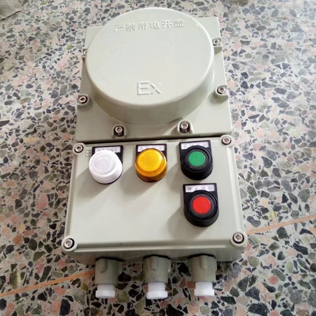 防爆照明配電箱/帶總開關(guān)防爆配電箱/BXK-2K