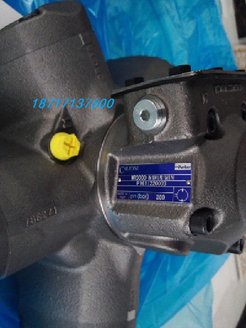 原裝卡桑尼液壓馬達(dá)MR1800H一D1N1F1N1N 10周到貨