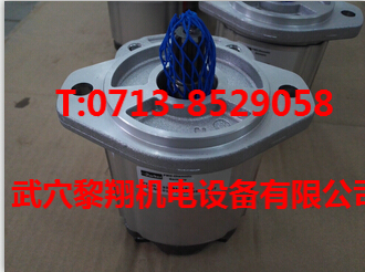 PGP505A0060CA1H2NE5E3B1B1