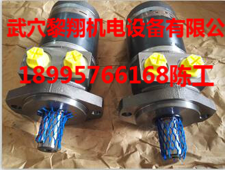 TE0045AS100FSAB派克馬達
