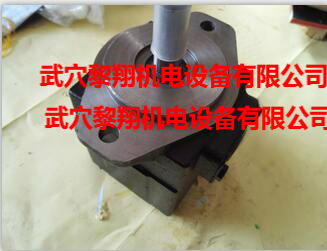 T6C 008 1R03 B1派克葉片泵