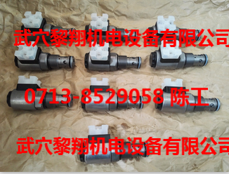 WSM10120ZR-01-C-N-24DG