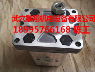 齒輪泵ALP2-S-40 爆款意大利馬祖奇