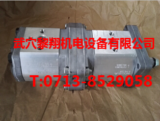 PFGX2-160/128雙聯(lián)齒輪泵