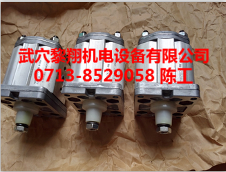齒輪泵ALP2A-D-16-FG意大利馬祖奇