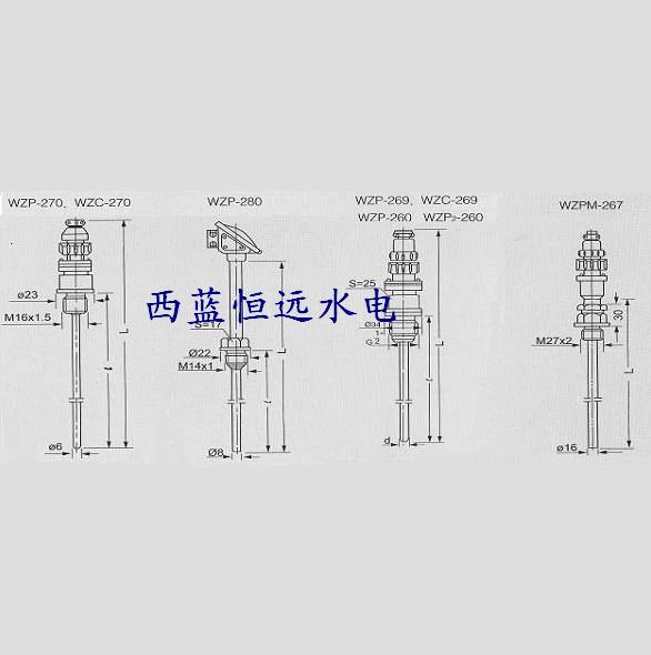 上導(dǎo)/水導(dǎo)軸承測(cè)溫探頭WZP2-269