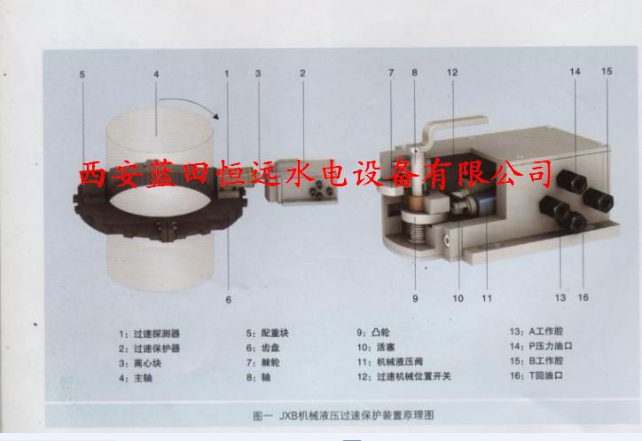 湖州JSX型轉速信號器廠家