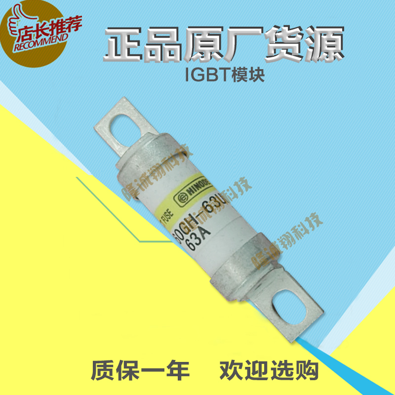 滁州三肯熔斷器QFL25-100S