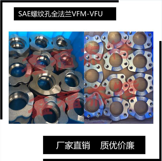 加工不銹鋼304LSAE功絲螺紋整體法蘭執(zhí)行SN532標(biāo)準(zhǔn)