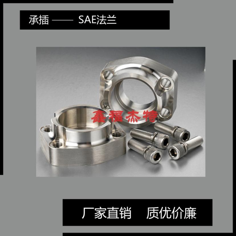 不銹鋼SAE管螺紋法蘭AFS-G-R-NPT