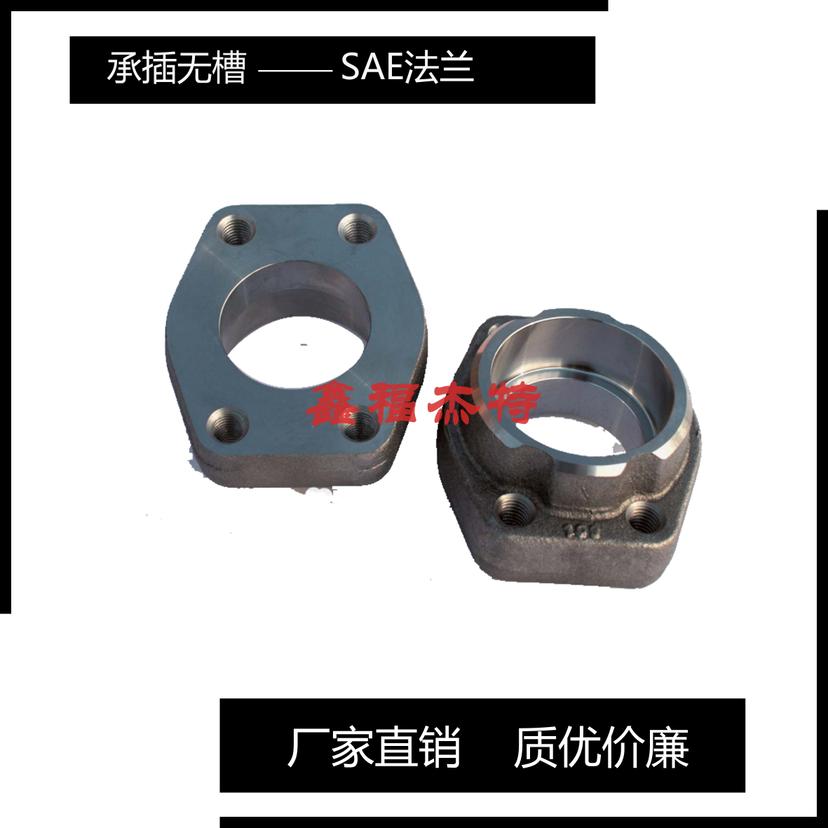 不銹鋼SAE法蘭對(duì)焊焊接法蘭組合件DFS-T