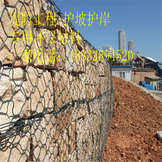 鑫乾廠家供應(yīng)連云港綠濱墊 固濱籠 生態(tài)格網(wǎng) 鍍鋅覆塑格賓網(wǎng)