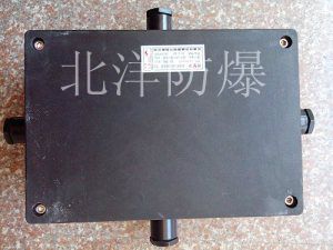 防爆防腐接線(xiàn)箱