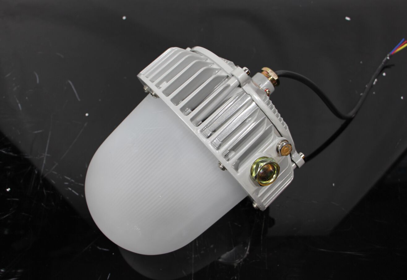 80W娴锋磱鐜嬫埗澶栧粻鍗€(q奴)LED鐓ф槑鐕�