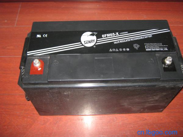 威神蓄電池6FM55T-X 12V55AH廠家直銷
