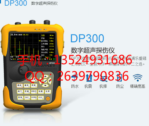 DP300數(shù)字超聲探傷儀