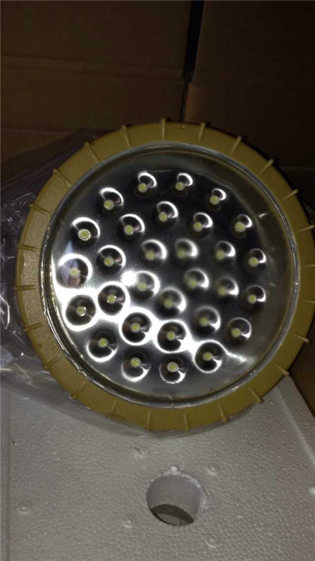 免維護(hù)節(jié)能防爆燈SBD1103-YQL50D防爆工廠燈