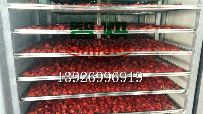 智烘高效山茶籽高溫?zé)岜煤娓蓹C(jī)性價(jià)比高的油茶籽烘干機(jī)生產(chǎn)廠家