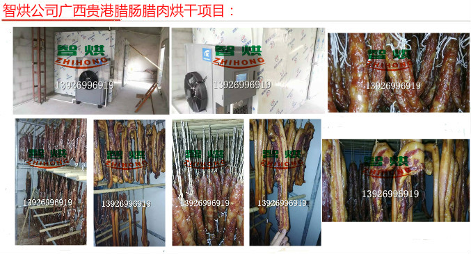 廣西貴港低價安全省時省電優(yōu)質(zhì)便捷空氣能臘腸臘肉烘干機(jī)及烘干設(shè)備