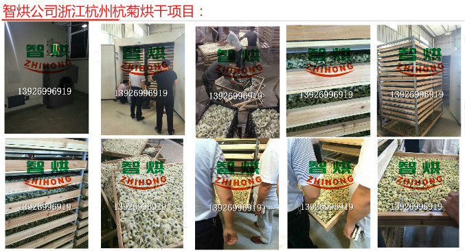 智烘牌省時省電環(huán)浙江杭菊花烘干房，菊花烘干設備，菊花熱泵烘干機