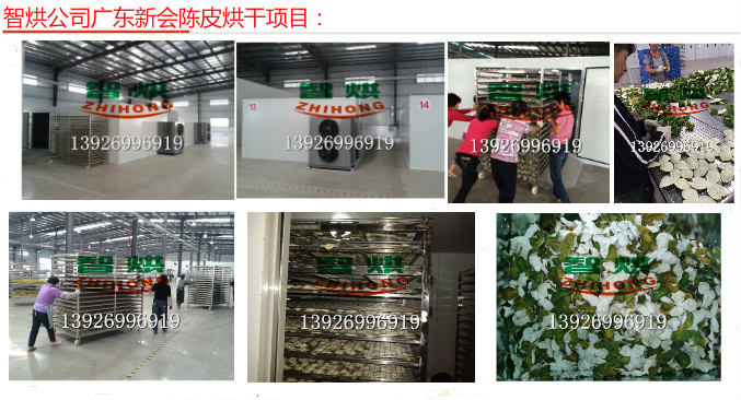 廣東新會智烘牌安全環(huán)保認(rèn)證陳皮烘干房陳皮烘干設(shè)備陳皮熱泵烘干機