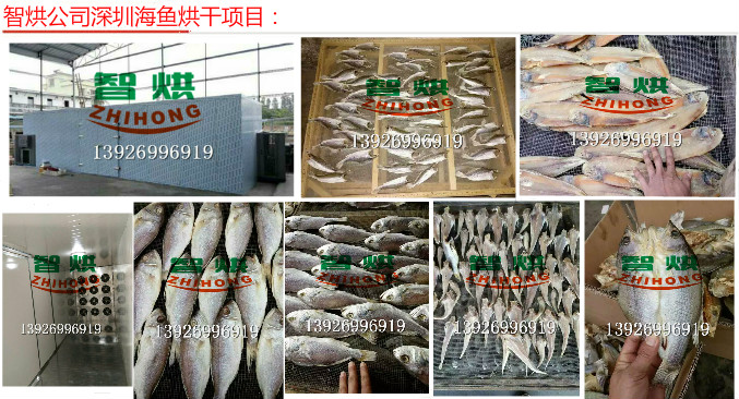 廣東深圳制冷除濕排濕智烘海產(chǎn)品熱泵烘干機(jī)及烘干房及烘干設(shè)備