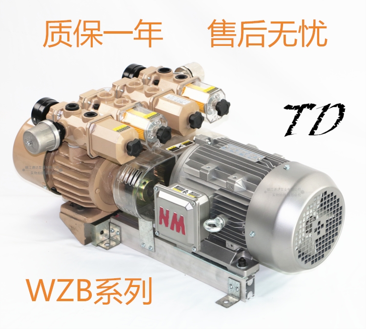 國產裱紙機覆膜機膠真空泵WZB50-P-VB-03廠家發(fā)貨質保一年