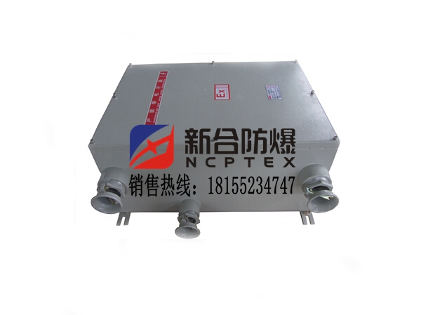 混合性氣體專用防爆配電箱價(jià)格便宜性能穩(wěn)定規(guī)格規(guī)格齊全