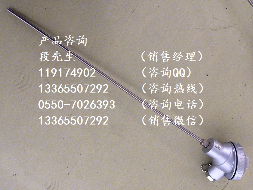 WRPK-231鎧裝熱電偶插深