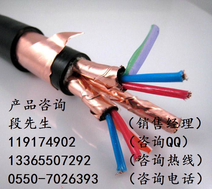 WLZR－DJYP2Y(R)P2低煙無鹵計算機電纜
