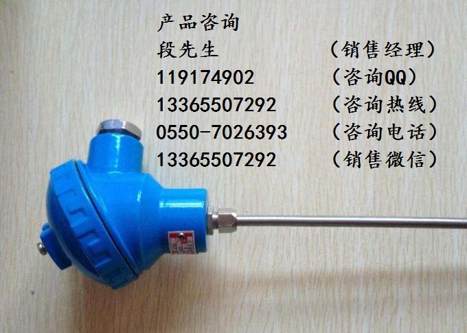 WRCK-131熱電偶插深