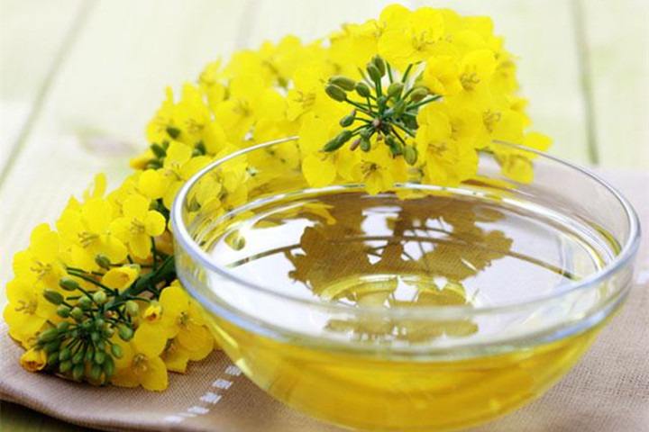 個(gè)人進(jìn)口葵花籽油到廈門詳細(xì)清關(guān)手續(xù)