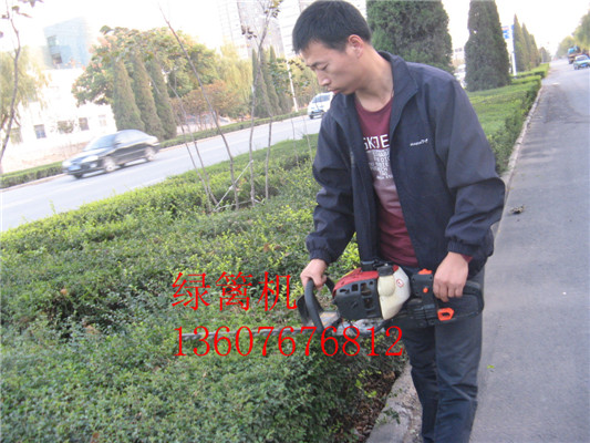 西安廠家大量直銷單刃綠籬機(jī)