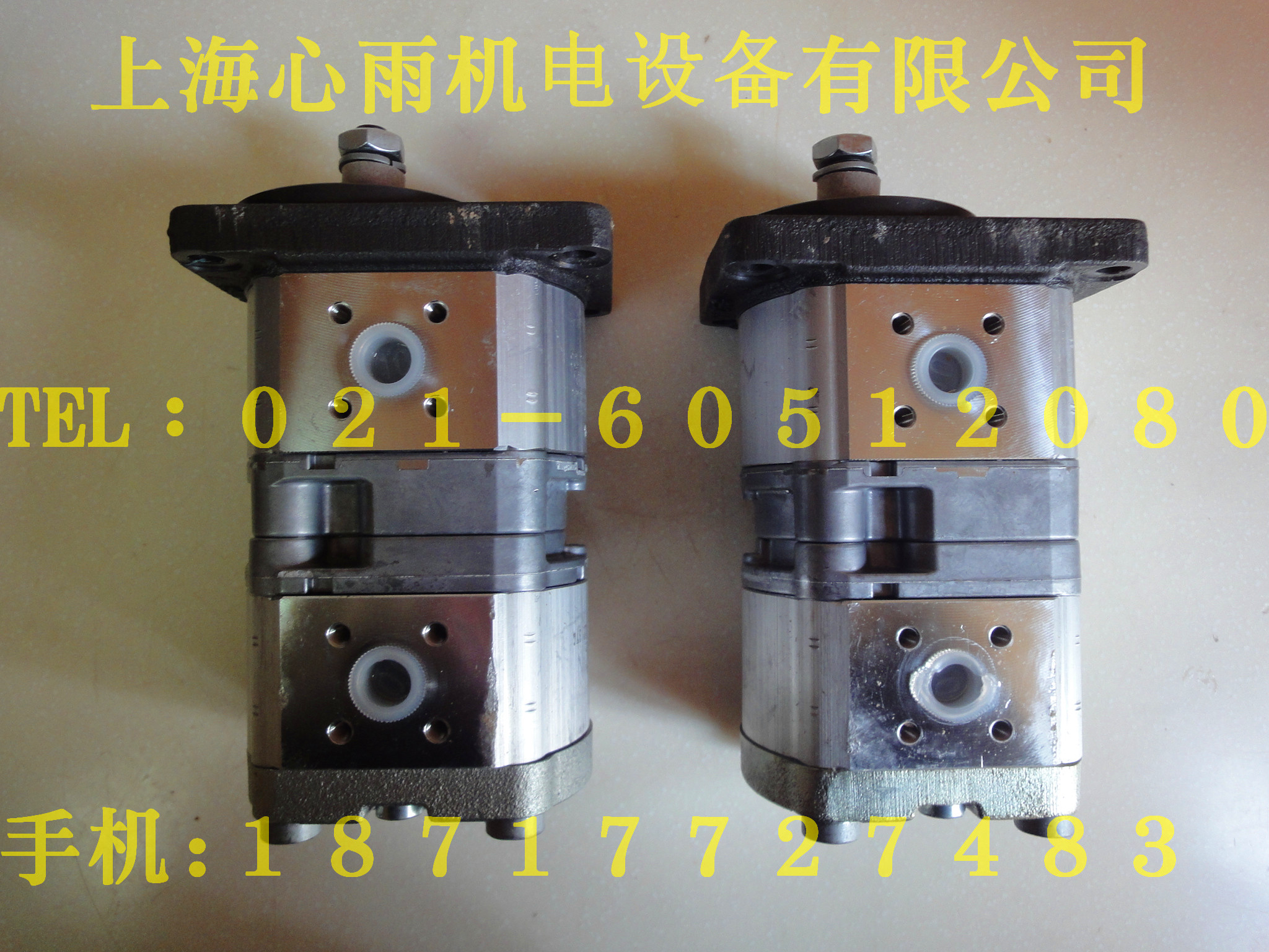 0510325008力士樂齒輪泵原裝正品