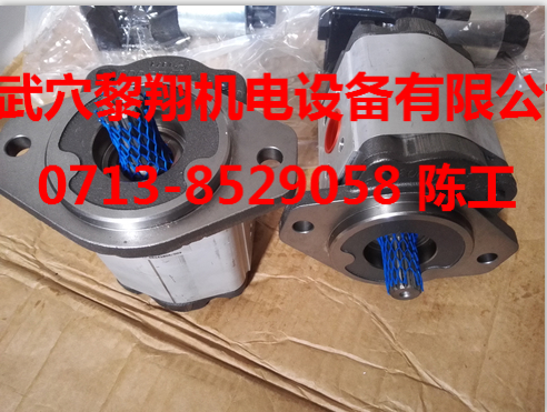 PGP517A0520AD1H3VP4P3B1B1派克齒輪泵