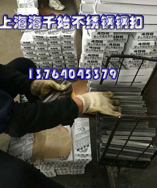 不銹鋼狼牙鋼扣，碳鋼狼牙鋼扣，針式不銹鋼扣