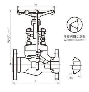 法蘭與對焊截止閥