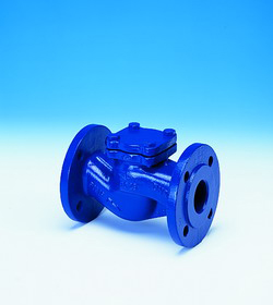 ARI-Check valves 止回閥