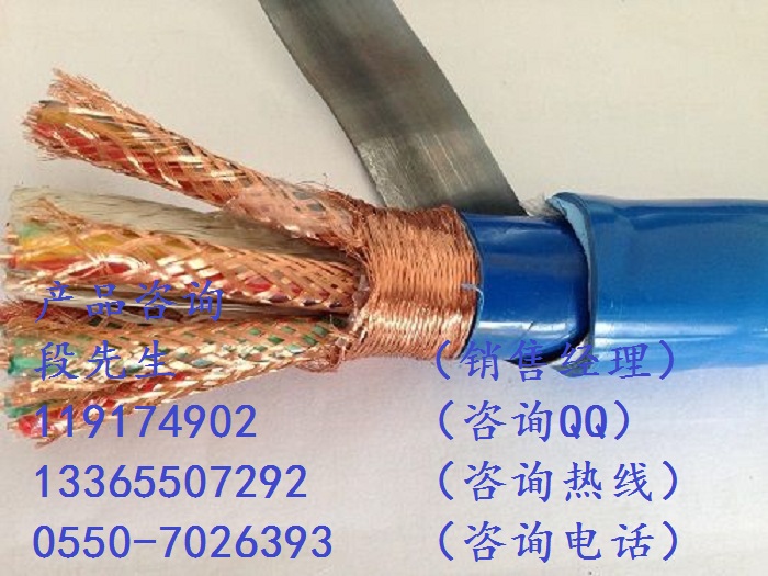 ZR-ia-DJYP2VP2R阻燃本安計(jì)算機(jī)電纜絕緣材質(zhì)